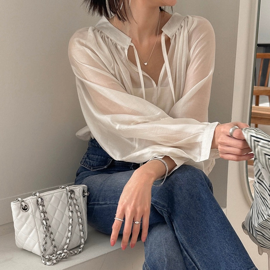 Shiny Sheer Puff-Sleeve Blouse