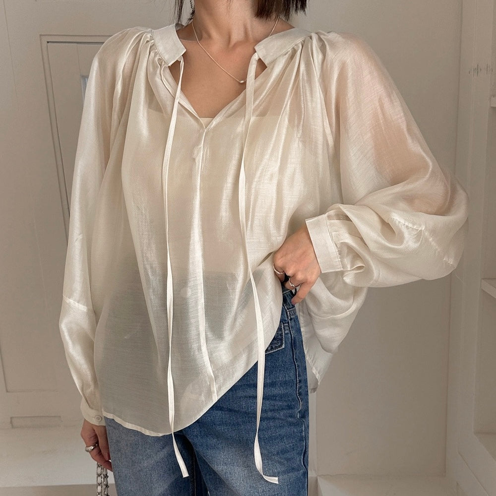 Shiny Sheer Puff-Sleeve Blouse